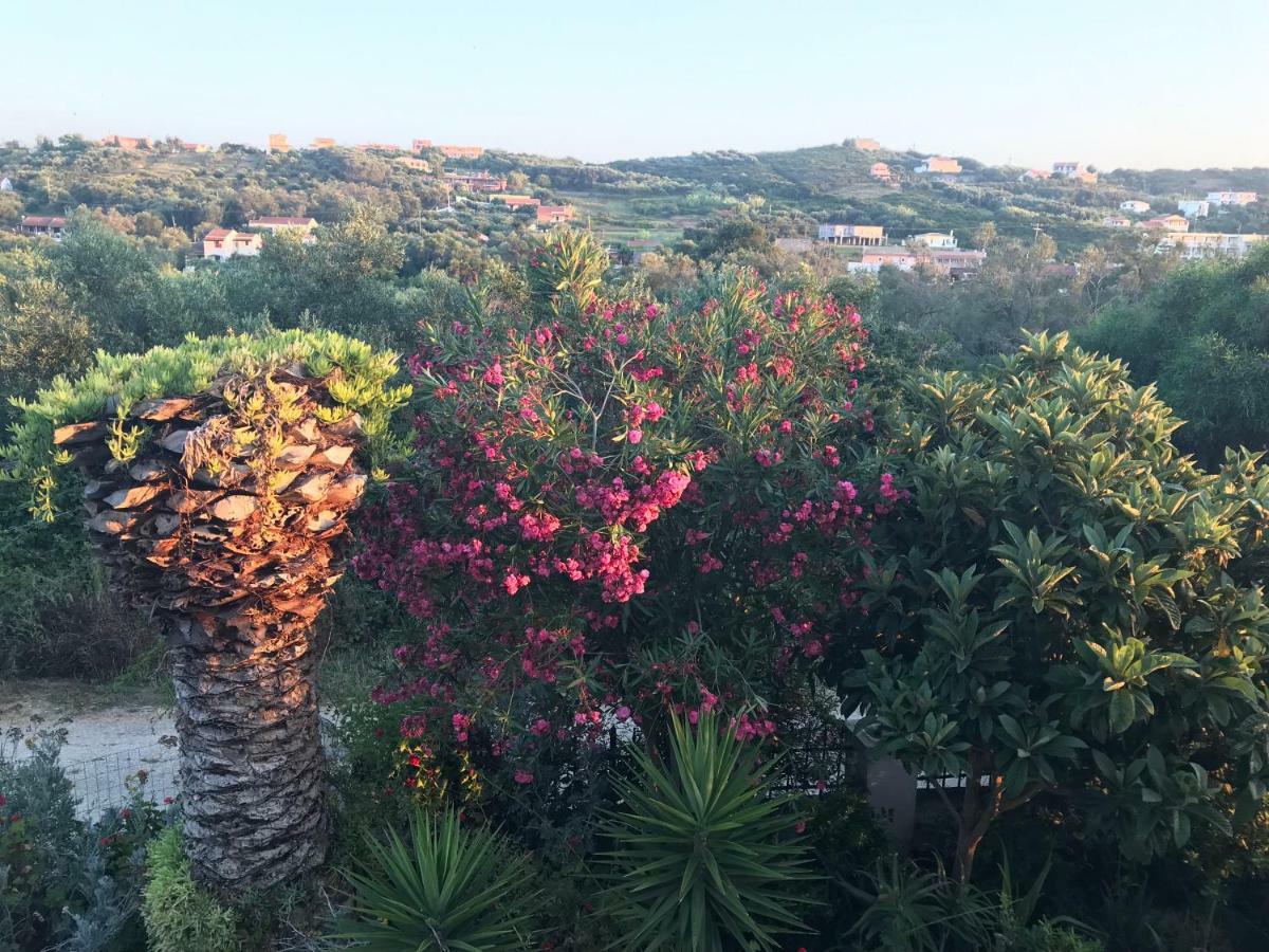 Floros Apartments Agios Stefanos Avliotes  Exteriör bild
